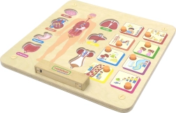 Vzdělávací tabule lidského těla Masterkidz Montessori