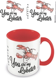 Barevný hrnek Přátelé You Are My Lobster