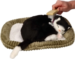 Adoptuj mě dýchající černo-bílá kočička