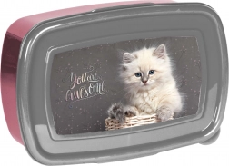 Paso svačinový box s kočičkou 750 ml