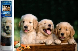 Diamantové malování – roztomilé trio 30 × 40 cm