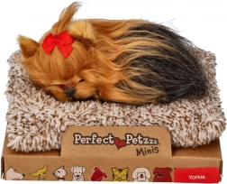 Perfect Petzzz malý štěňátko yorkshire teriér