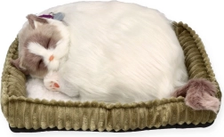 Dýchající kočička ragdoll Perfect Petzz