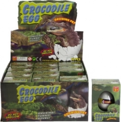 Vajíčko s rostoucím krokodýlem do vody