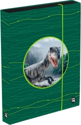 Box na sešity A4 Jumbo OXY Sherpy zelený