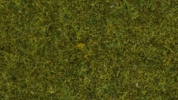 Statická tráva Noch divoká louka, 9 mm