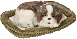 Adoptuj mě dýchající štěňátko Shih Tzu