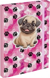 Desky na školní sešity Tlapková patrola A4