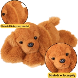 Plyšový pes Cocker Spaniel s váženými tlapky hnědý 30cm
