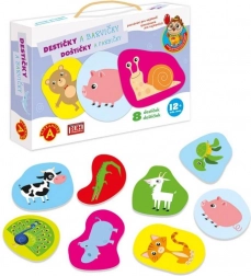 Alexander poznávání pro nejmenší – destičky barvičky