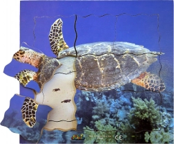 Dřevěné vrstvené puzzle Želva - 19 dílů