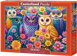 Castorland puzzle Soví setkání v květinách 3000 dílků
