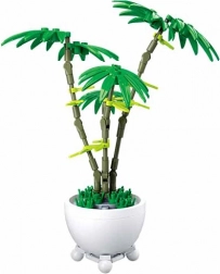 Sluban květina v květináči – zelená palma