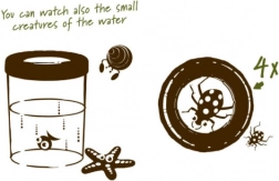 Navir Explora velký kelímek na pozorování hmyzu