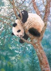 Puzzle Zlaté dítě 1000 dílků Cobble Hill