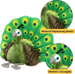 Plyšová hračka Elegantní Páv zelený 30 cm