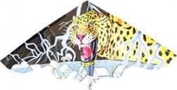 Létací drak pro děti 115 × 72 cm