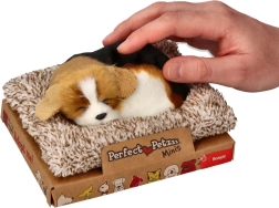 Štěkající beagle na pelíšku