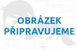 Dřevěné puzzle Pes 500 dílků