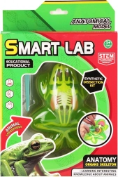Hra anatomie žáby