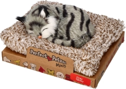 Perfect Petzzz malý šedý mourovatý kocourek