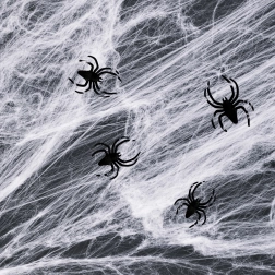 Halloweenská bílá pavučina s pavouky