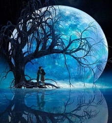 Diamantové Malování Měsíc nad jezerem 30x40cm