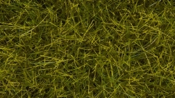 Noch statická tráva divoká louka 12 mm