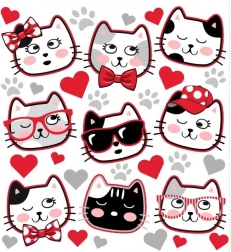 Naprasovánka Kocí pyszczki