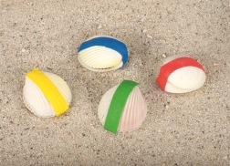 Kouzelná škeble Goki