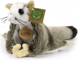 Plyšová vakoveverka létavá