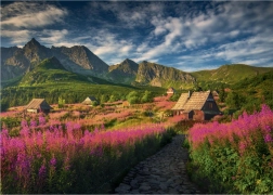 Puzzle Gaseinicova dolina 1000 dílků