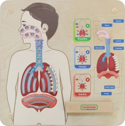 Dřevěná výuková tabule Respirace od Masterkidz