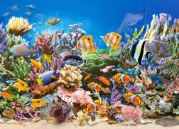 Puzzle 260 dílků Barvy oceánu