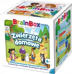 BrainBox – domácí zvířata (vzdělávací hra pro děti od 6 let)