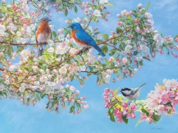 Puzzle Květinový festival XL 275 dílků od Cobble Hill