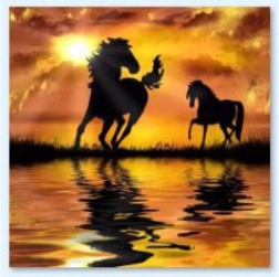 Diamantová mozaika (diamond painting) Koně – západ slunce 30 × 30 cm - 1 kus