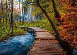 Puzzle RAVENSBURGER Tajemný les 1000 dílků