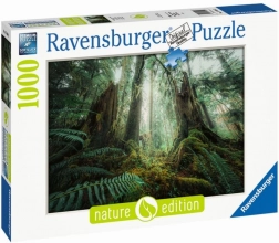 Puzzle 1000 dílků Lesy Ravensburger