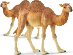 Schleich dromedár – figurka Wild Life