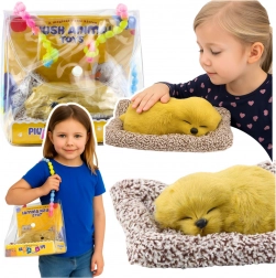 Spící labrador na polštářku s měkkým kožíškem a zvuky