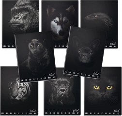 Školní sešit A4 Monocromo černý