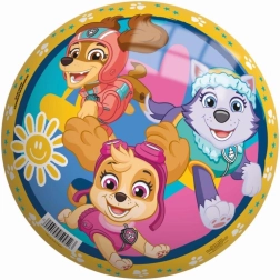 Míč PAW PATROL 23 cm perleťový