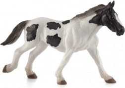 Mojo Irský tinker roční hříbě