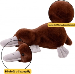 Hnědá plyšová hračka ptakopysk 32 cm