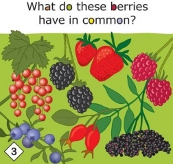 Yummy! vzdělávací hra o zdravém stravování pro děti od 3 let