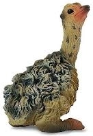 Kuře Pštrosa Sedící Collecta