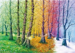 Puzzle vlákna života 1000 dílků MAGNOLIA