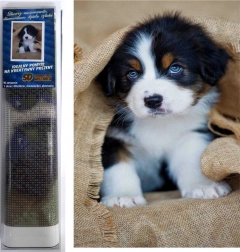 diamantové malování štěně bernského salašnického psa 30 × 40 cm