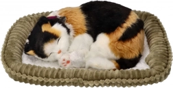 Dýchající trikolorní koťátko na pelíšku